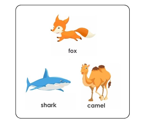 fox, camel, shark のイラスト