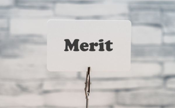MERITの画像
