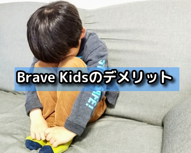 Brave Kidsのデメリット